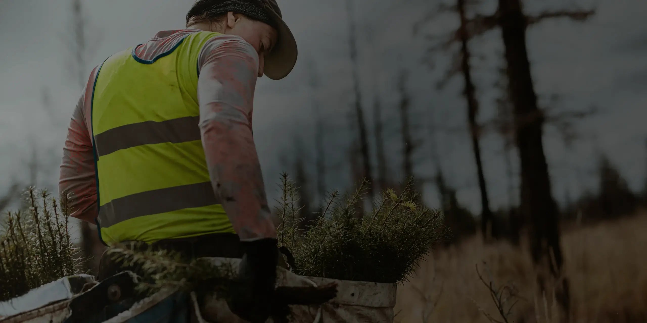 Worker collecting branches