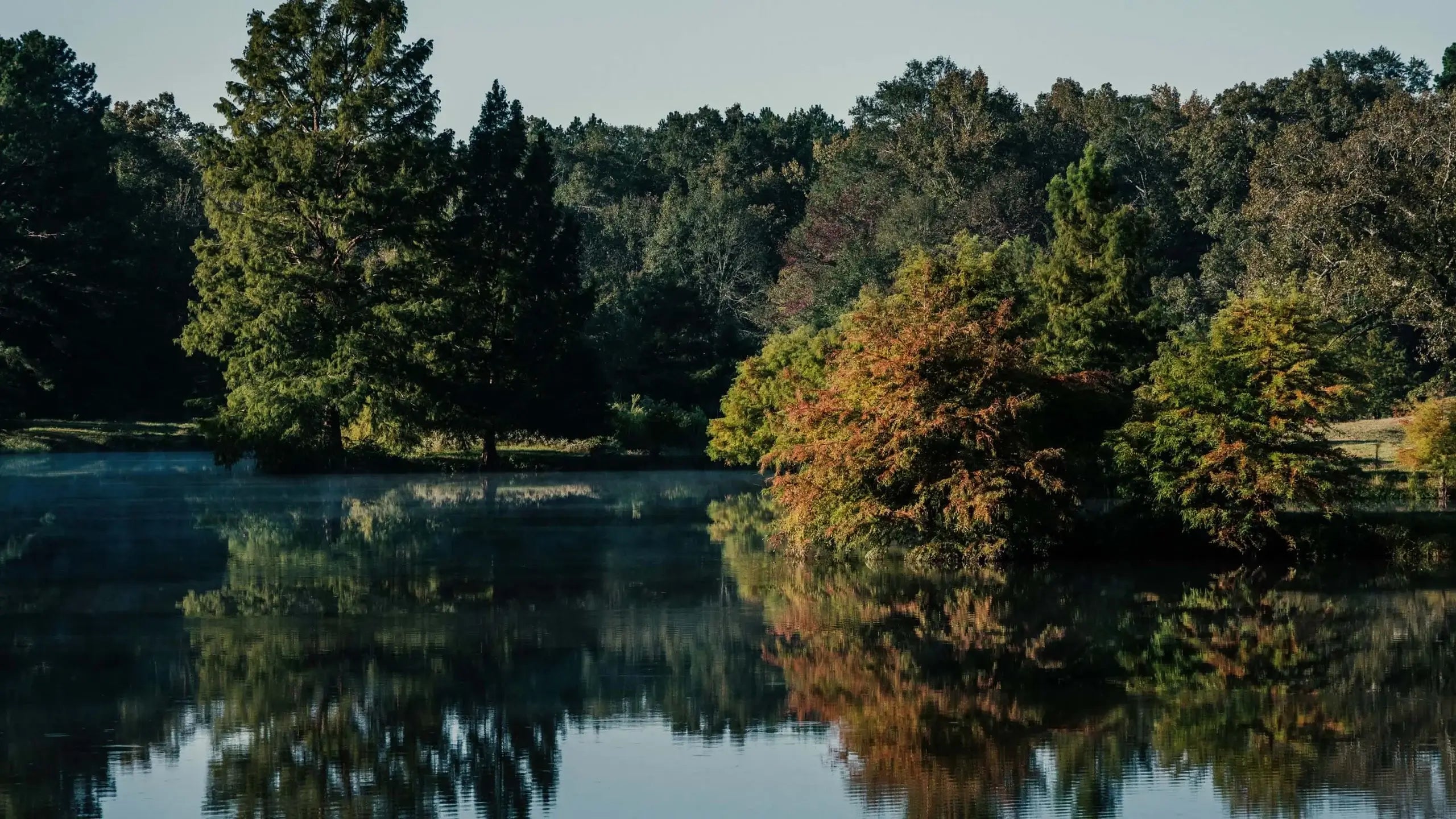 Lake with trees in the background.
