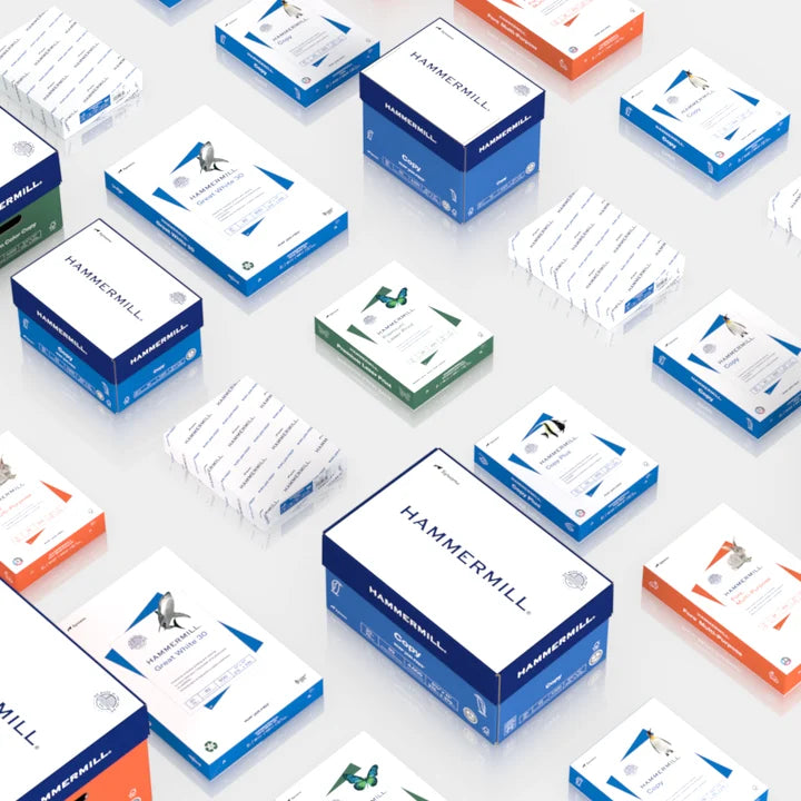 A group of paper reams in different packaging in rows.