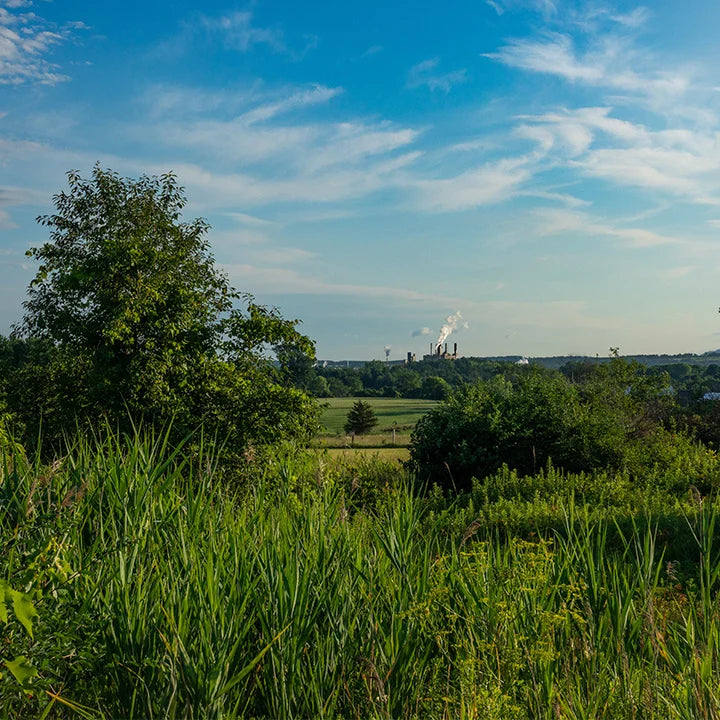 grass and trees in the foreground with a factory in the distant background.