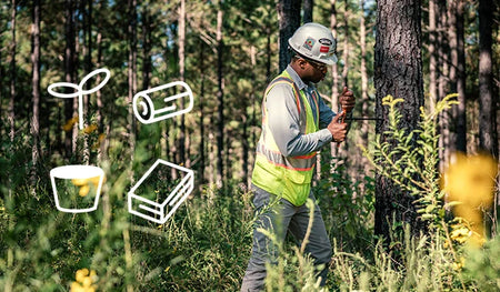 Man in construction gear testing a tree.