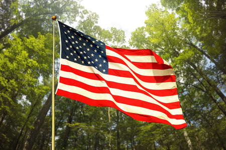 American flag waving in the wind with trees behind it.