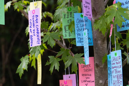 Tree with tags with messages about fighting cancer