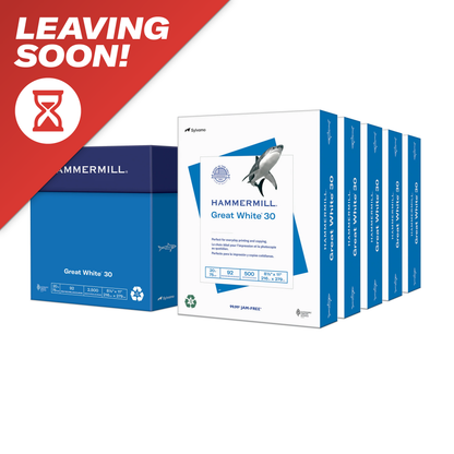 Great White® 30% Recycled Paper, 20 lb
