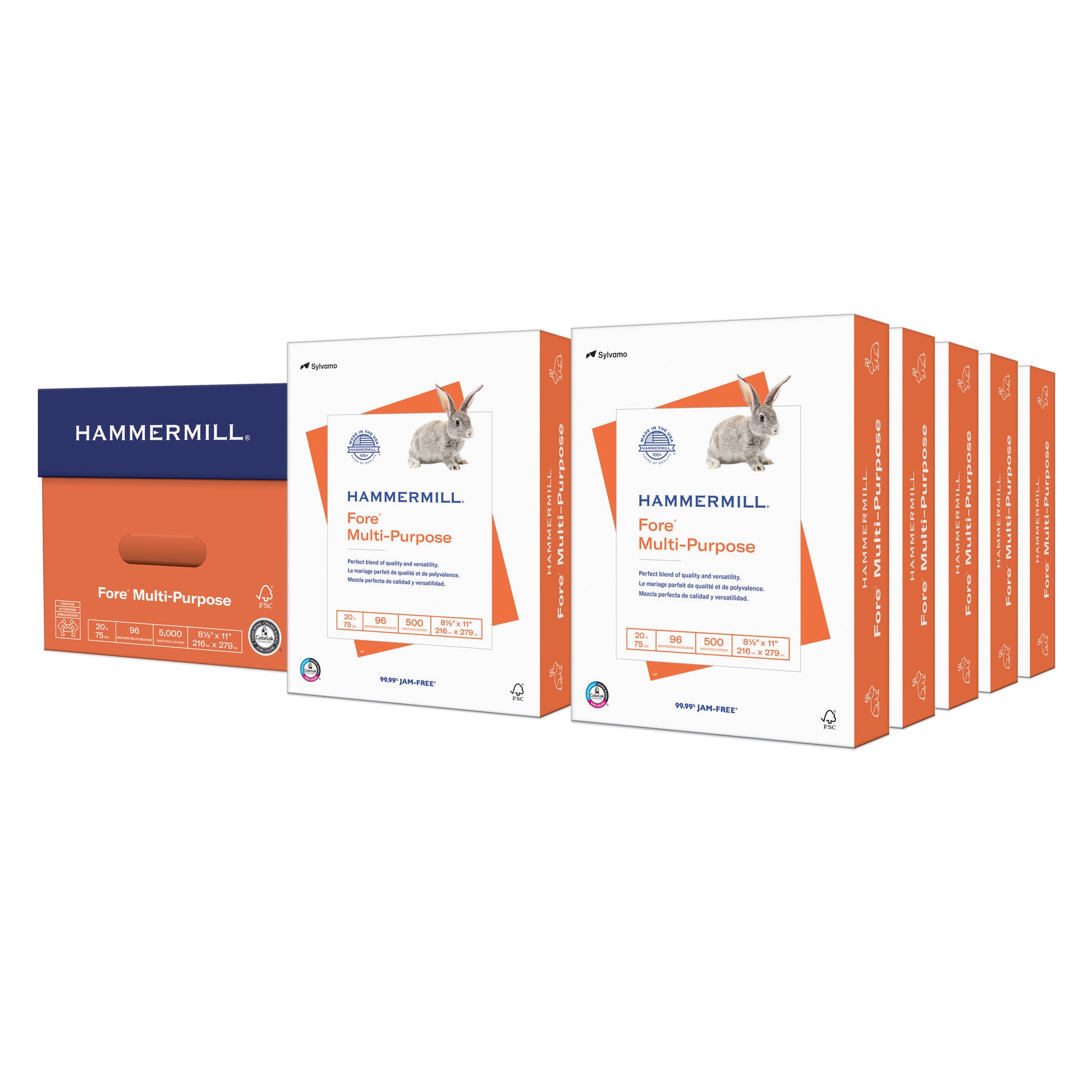 Fore Multi-Purpose 10 reams
